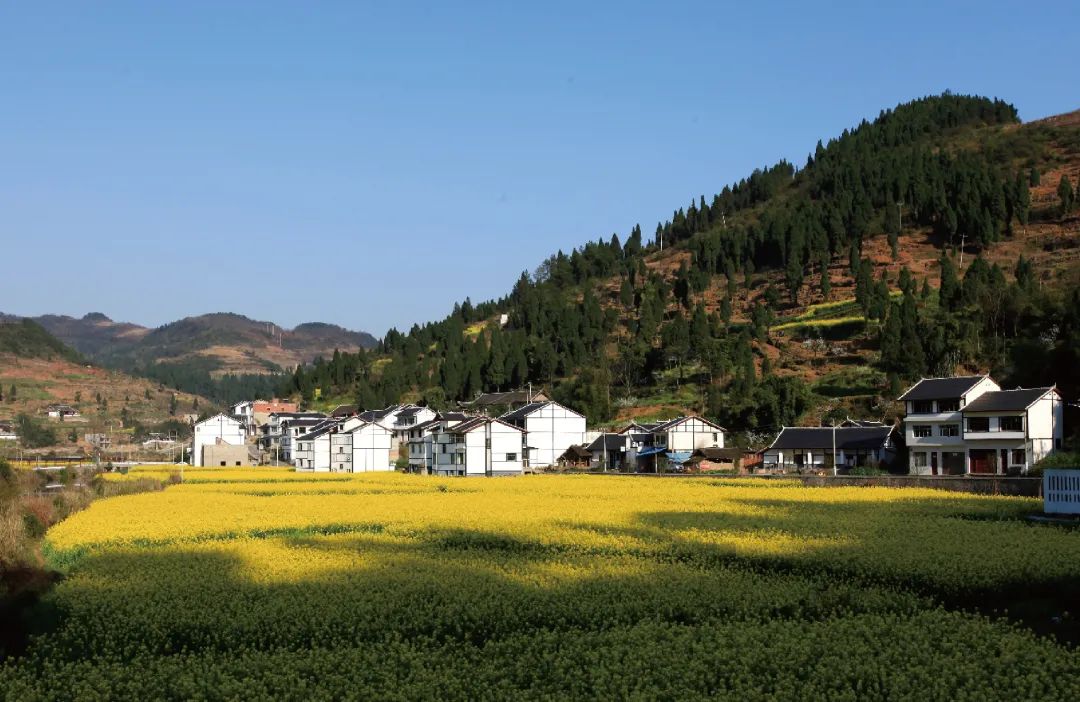 仁怀有哪些美景,仁怀新增旅游景点