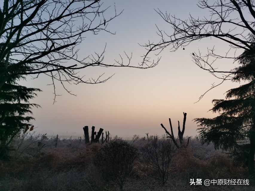 股市最新判断题及答案解析,股市入门基础知识100题及答案