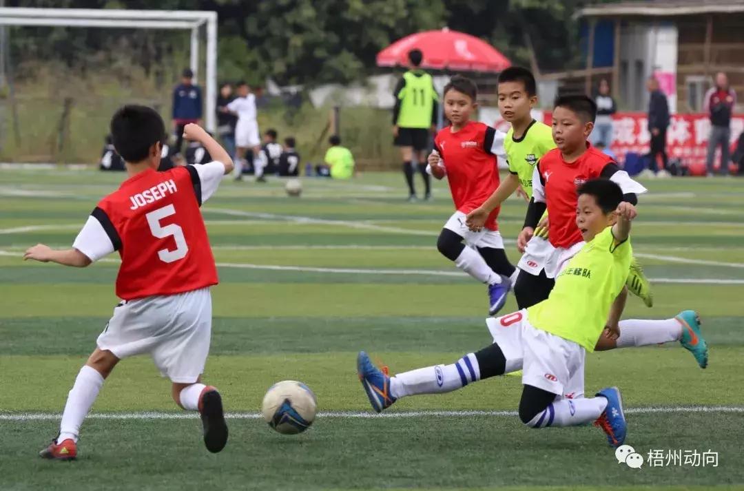 足球训练营公益,足球训练公益项目