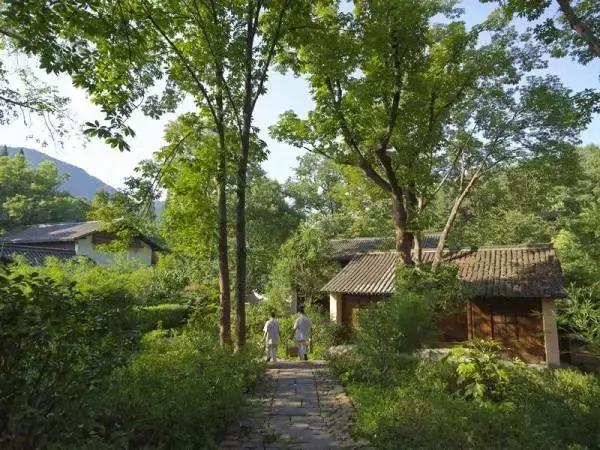 杭州隐宿网红民宿,杭州隐居山林古风小屋