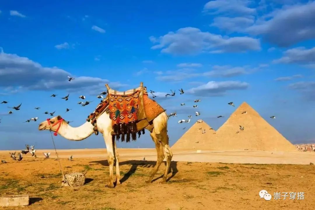 男生怎么找到适合自己的烫发,理发店不会告诉你烫发的秘密男士