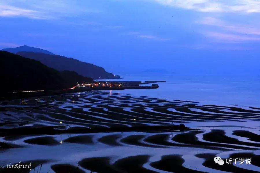 日本东京熊本熊,日本熊本游