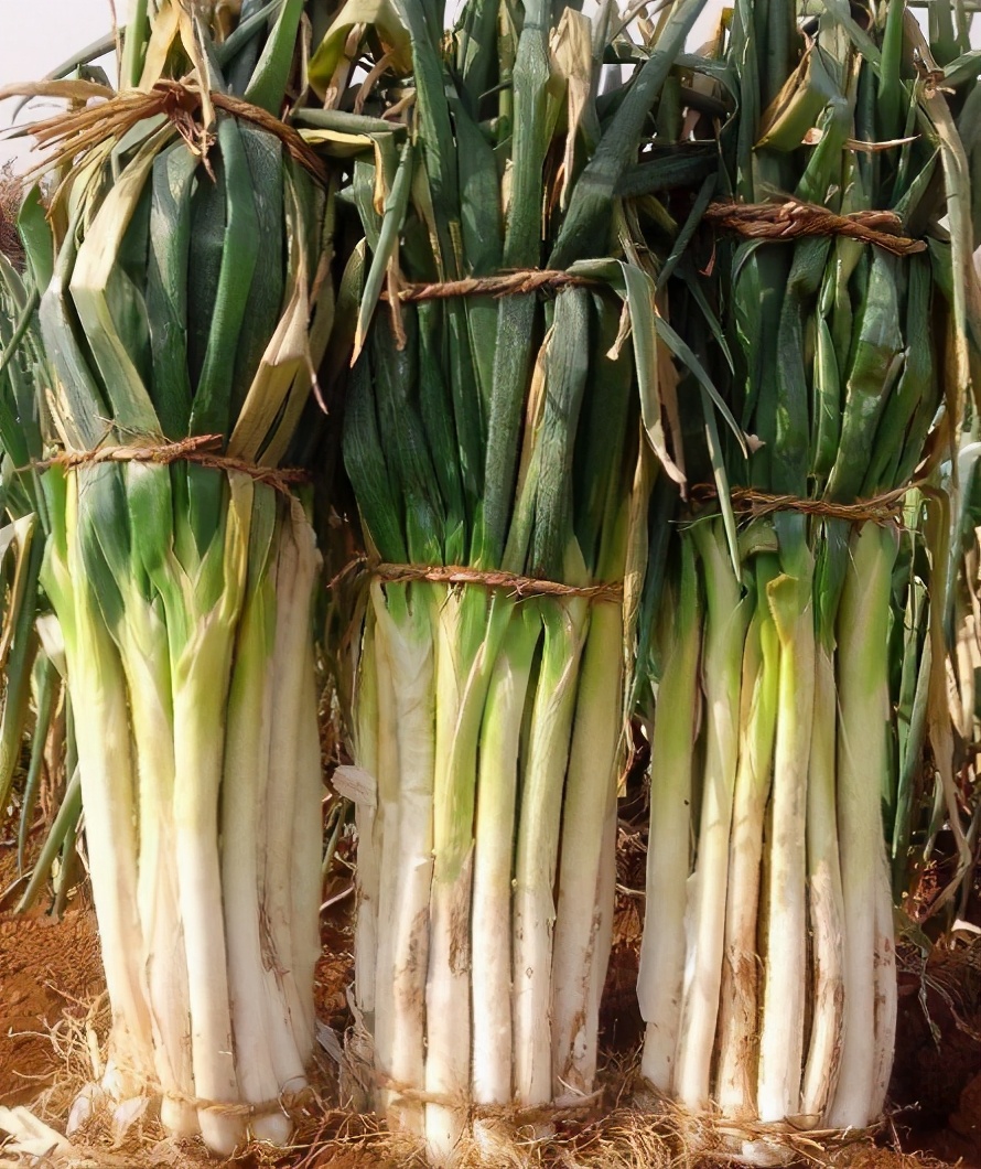 买猪肉时懂行的人专挑这5个部位,买大葱的技巧和方法