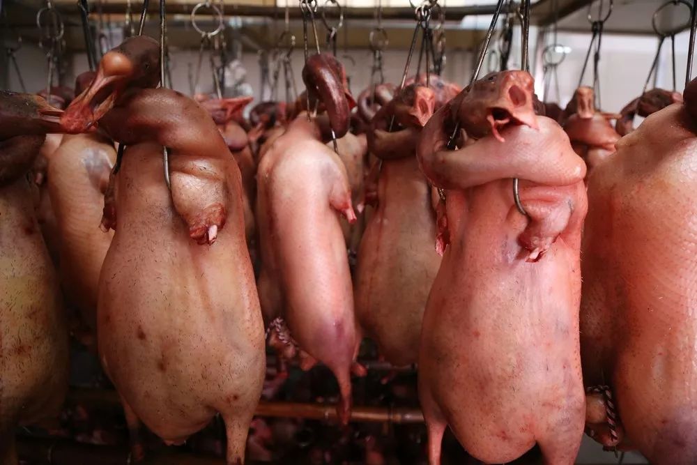 淘宝吃货推荐店在哪里,好吃的淘宝美食