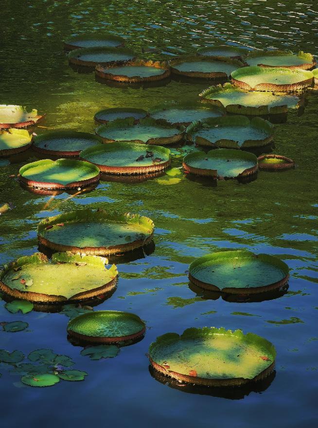 珠海最值得去的古村,珠海最值得去的古村落