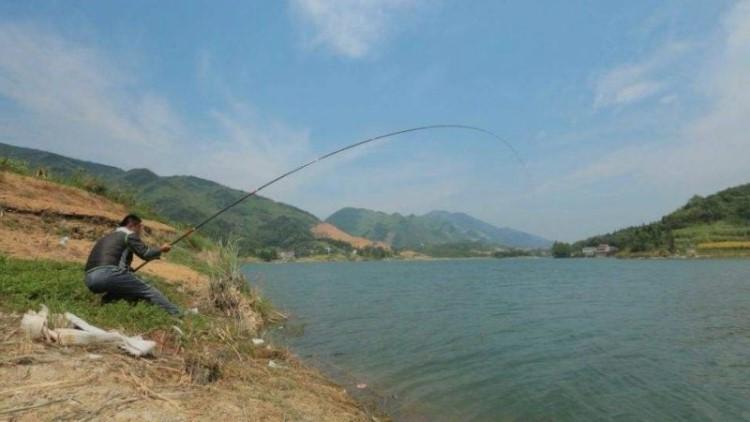 最有效提高中鱼率的钓组,上鱼最容易的抛竿钓组