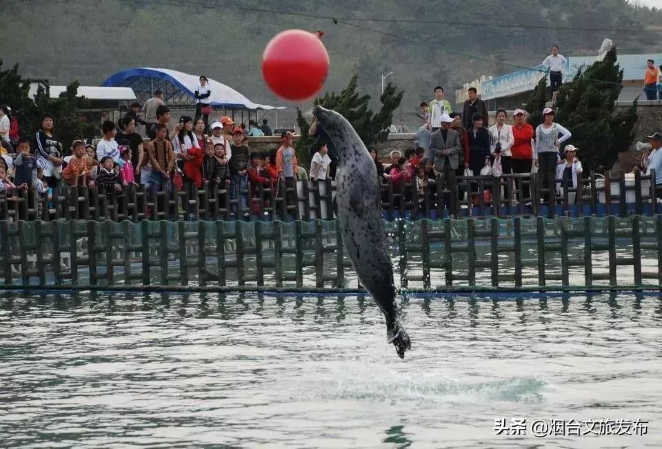 今年长岛蓬莱旅游预约门票优惠吗,长岛免费旅游景区