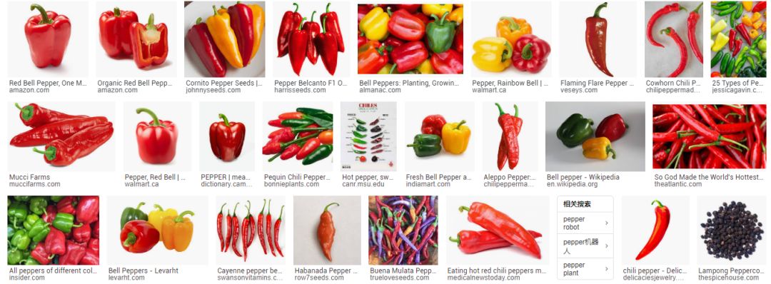 pepper杈ｆ鑻辫,pepper鍜宑hilli鍖哄埆