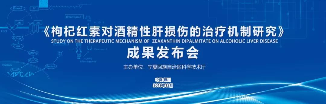 喜讯:宁夏枸杞红素为酒精性肝损伤带来了健康的福音