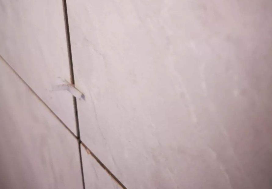 新房入住不到一个月顶上开裂,新房入住不到一年墙皮脱落