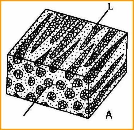 地质知识大全及讲解,地质知识大全讲解