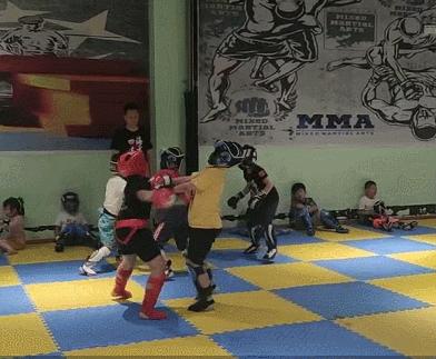 散打搏击跆拳道截拳道有什么区别,搏击散打跆拳道哪个适合6岁小孩