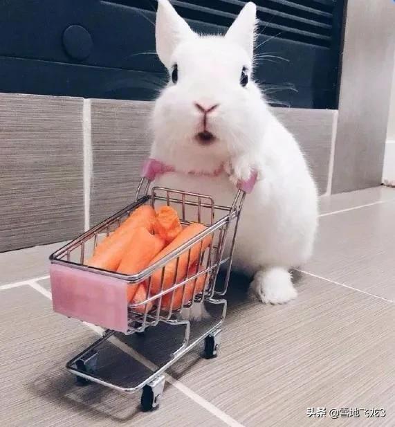 韩国代购被举报结果,韩国代购被举报了吗