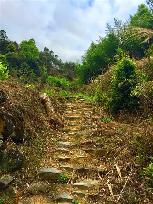 广东信宜|竟有53万华侨同胞来自这“八山一水一分田”之地?