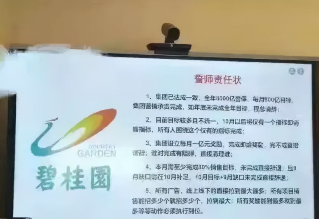 碧桂园的风险以及应对措施,碧桂园风险预测