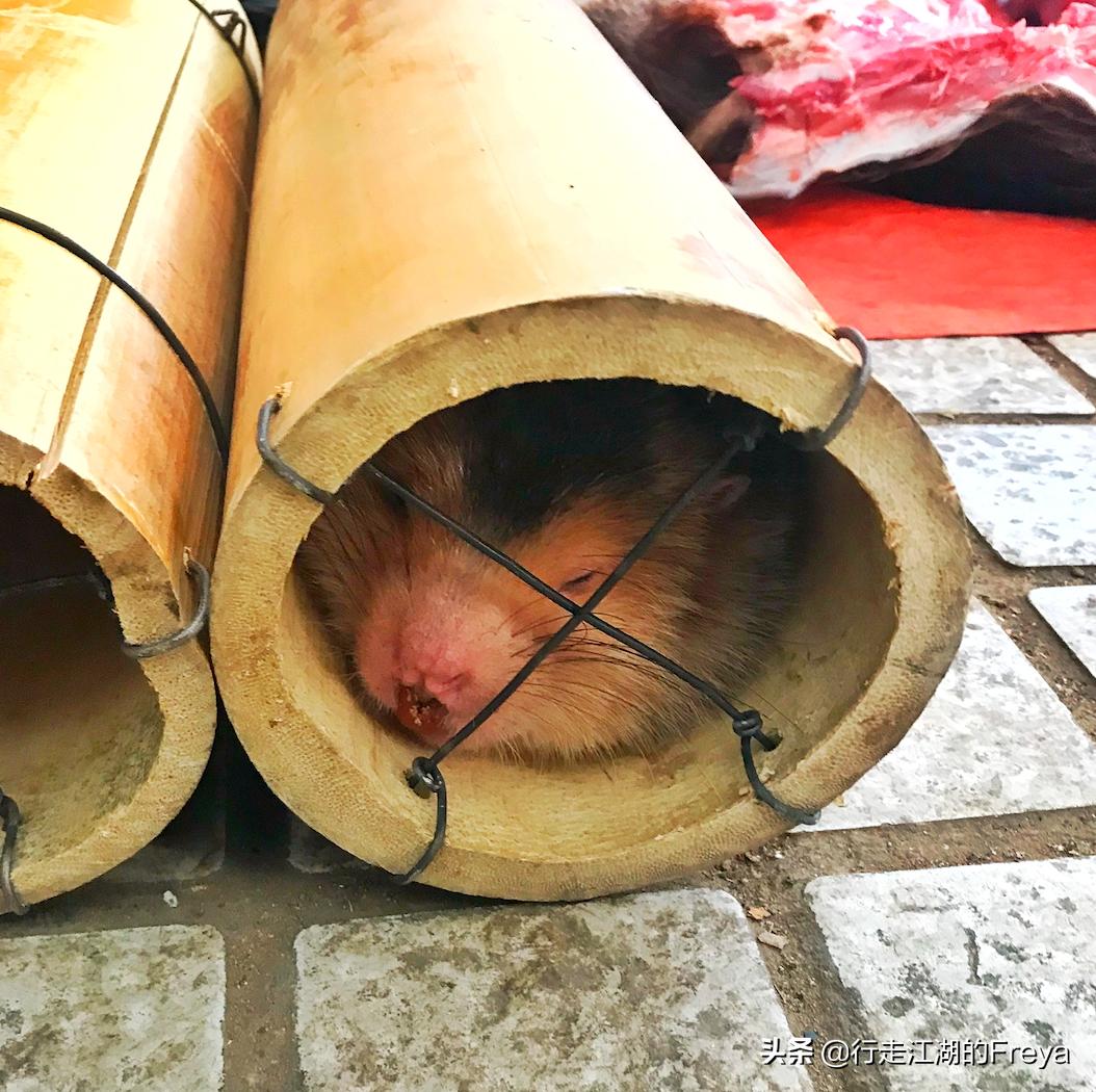 西双版纳傣族村寨赶集,西双版纳星期五赶集