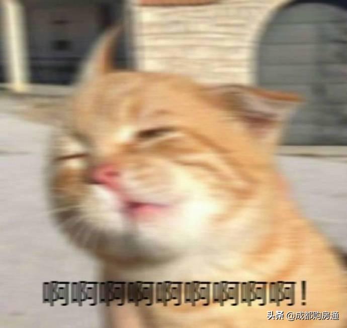 从500人报名到中签率15.15%，南湖旁低调大盘为何越来越“香”？