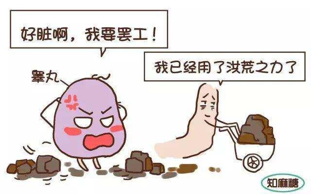 什么情况下精索静脉曲张才需要做手术