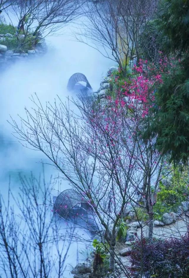 重庆周边旅游1-3天攻略最佳线路,重庆小众但绝美的旅游地点