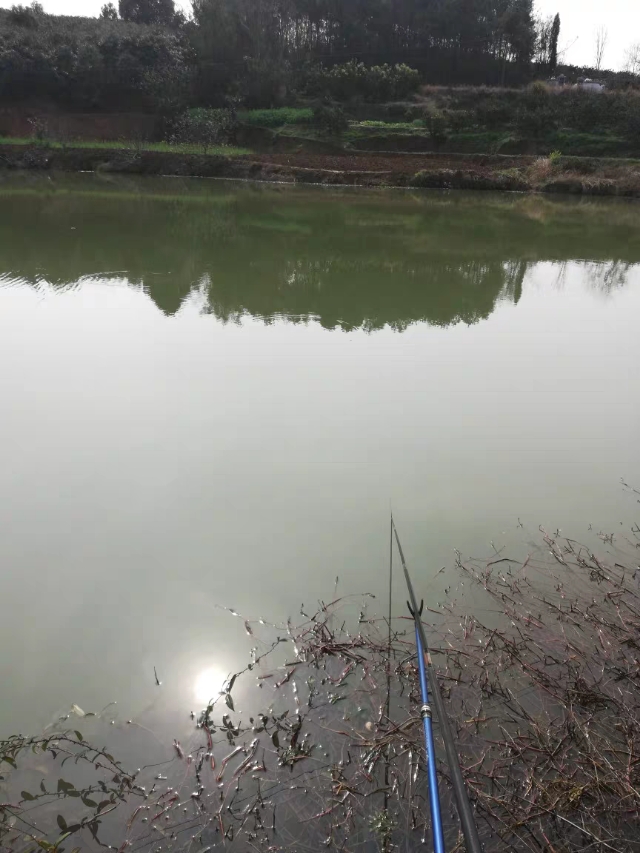 钓鱼技巧简单易记的钓鱼经验口诀,各种钓鱼小技巧