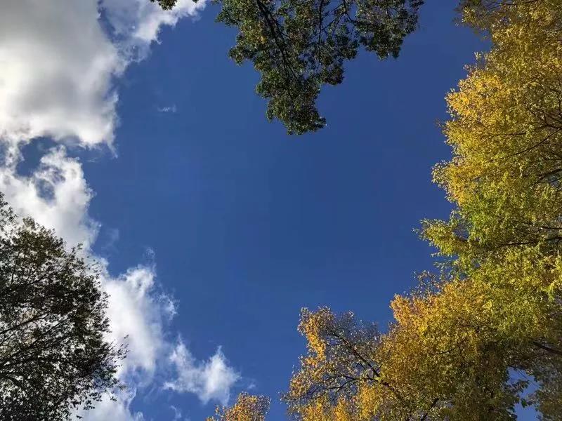 a-z是什么软件,A-Z是什么服务器