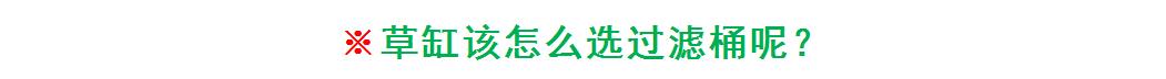 入坑草缸的两个作品,新手草缸用什么过滤最佳