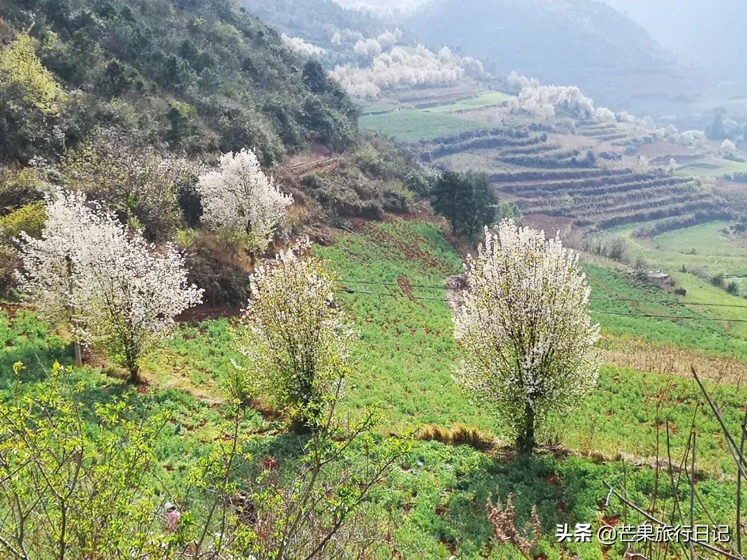 云南适合隐居的小山村,云南与世隔绝的花海