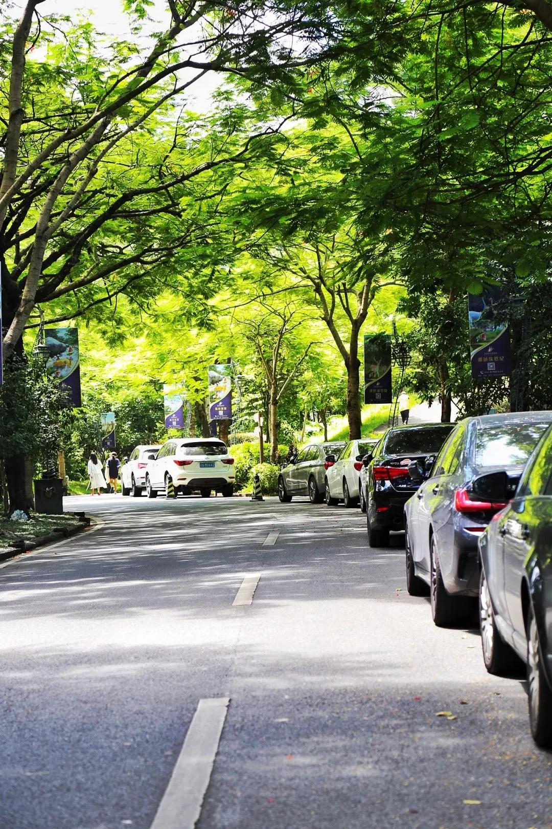 广东清远佛冈旅游攻略,广东清远佛冈森波拉旅游