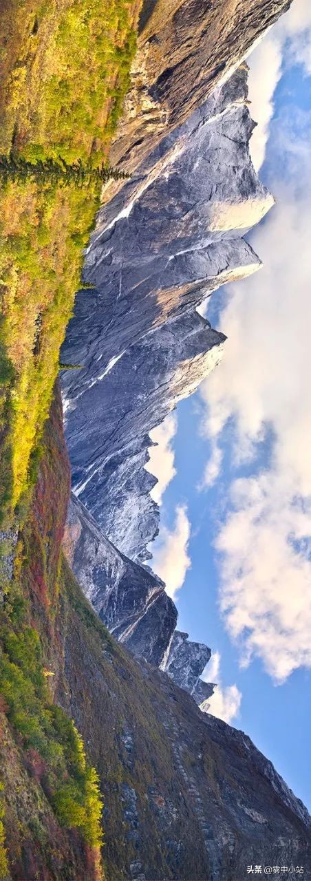 最便宜阿拉斯加多少钱,最便宜又大的阿拉斯加