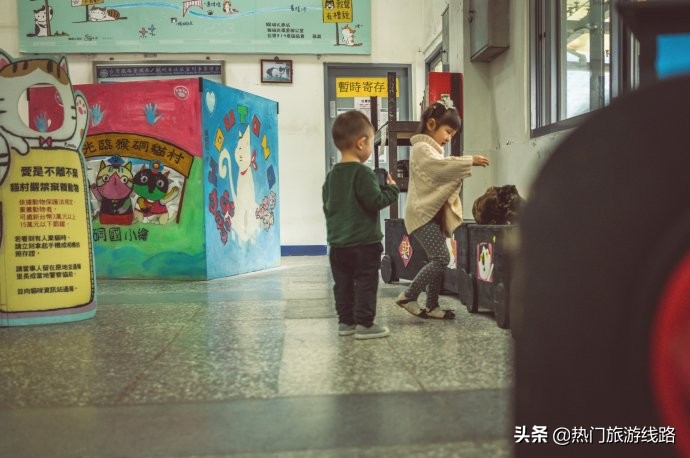 台湾猴硐猫村值得去吗,猴硐猫村旅游攻略