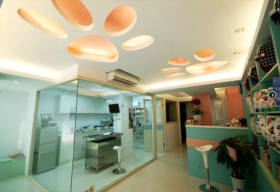 去一趟宠物医院检查要多少钱,给宠物看病的市民如何避坑