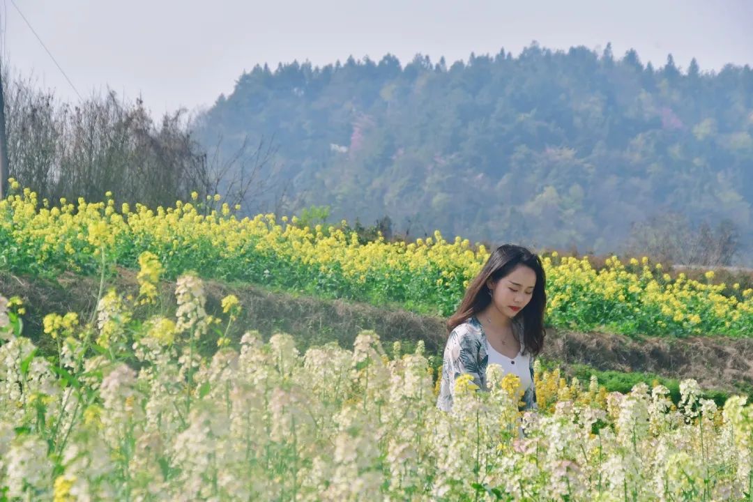 赏春图鉴丨赏花海、品清茶、尝美食...乌当百宜镇这条宝藏春游线路，就等你来打卡啦！