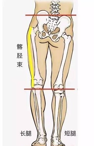 怎么练成瘦肌肉腿,结实大腿怎么减最快瘦下来