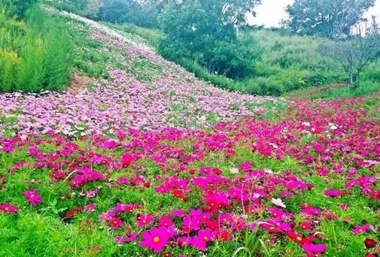 被称为上帝的指纹的图形,上帝的指纹景区