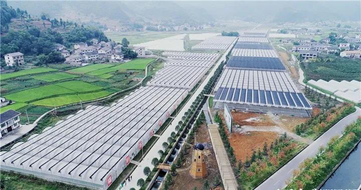 革命老区遵义贫困县全部出列