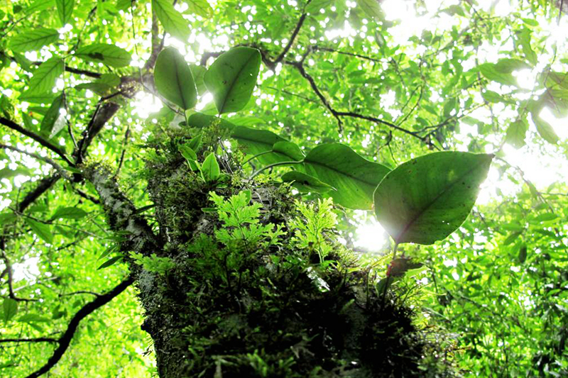 贝爷荔波荒野求生照片,跟着贝尔去旅行荔波