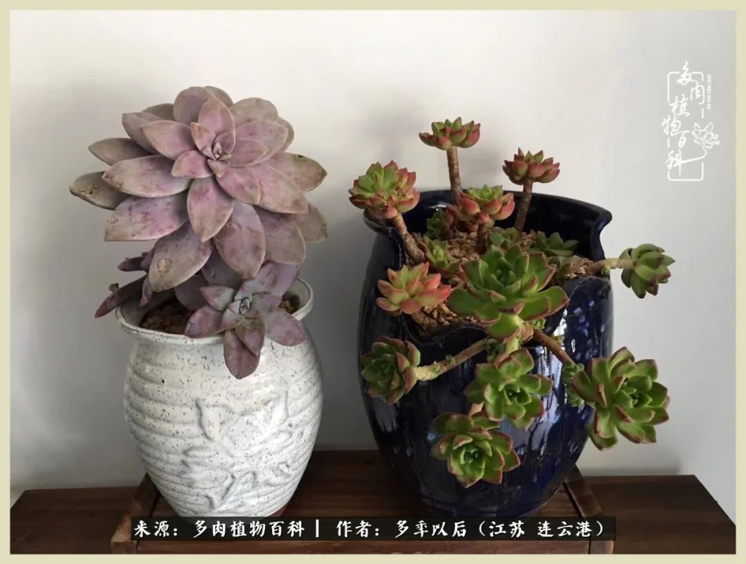 多去花前谈以后，少来月下忆当年