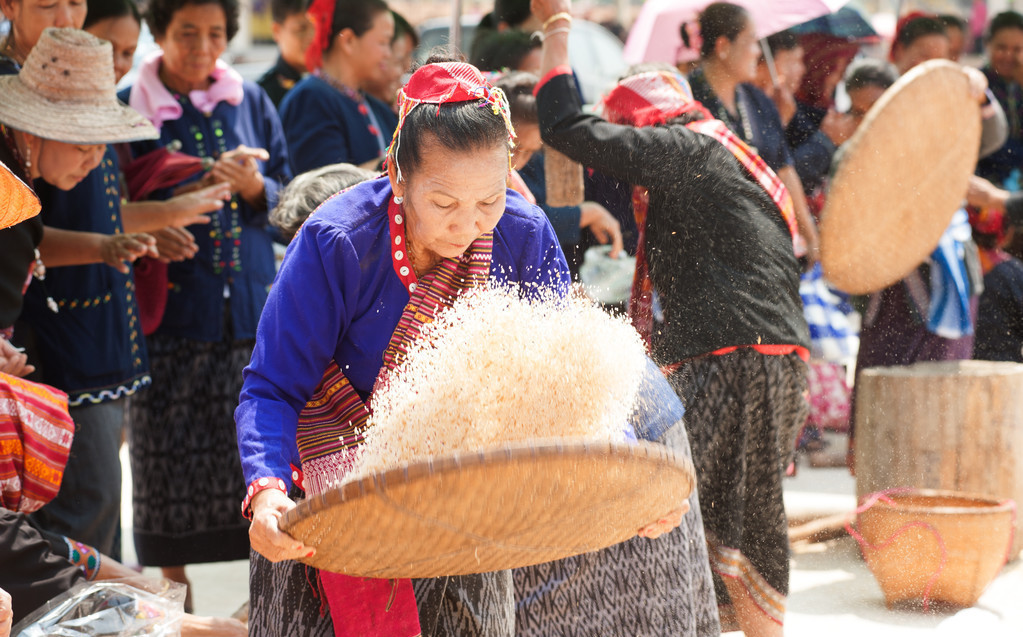 粮食生虫了全屋小飞虫如何驱赶,防止粮食生虫最好方法