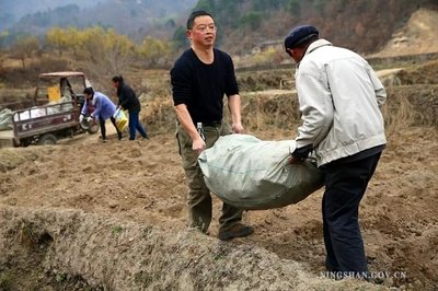 中国农业问题现状分析,对中国农业行业分析