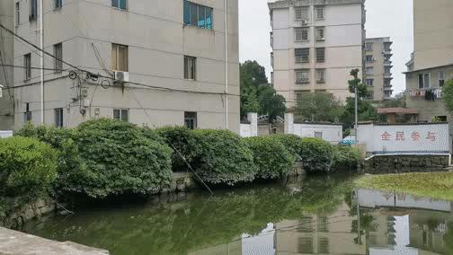 诸暨最土豪的村子在哪里,诸暨十大土豪村