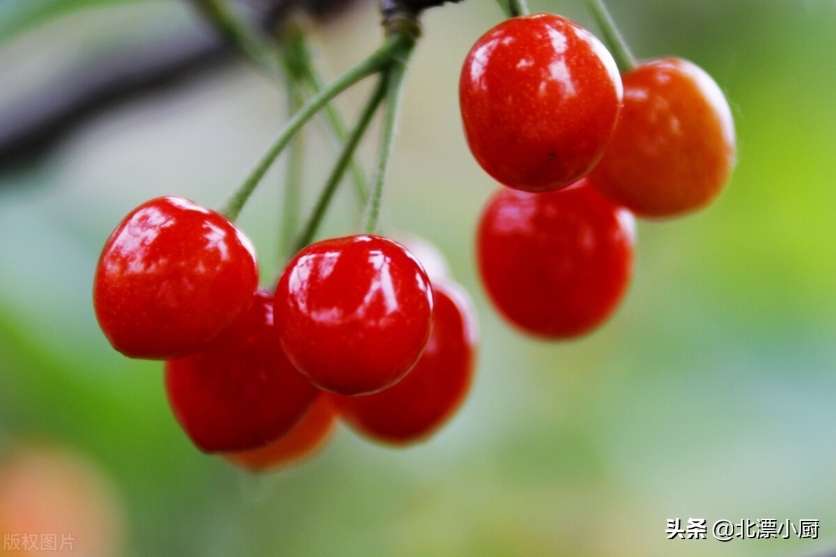 八种当季水果别错过,6月份要吃的四种水果