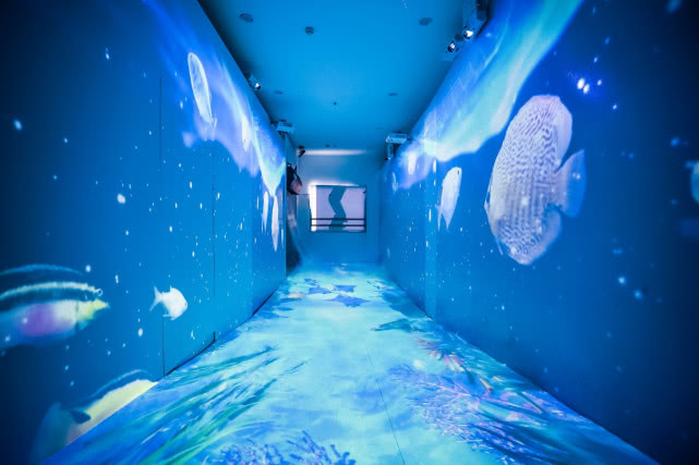 粤港澳大湾区创新发展峰会,2017年粤港澳台青年企业家交流会