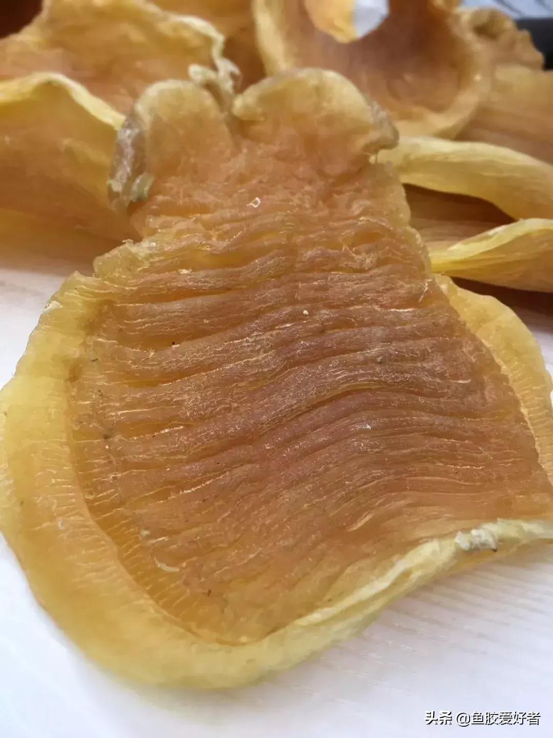 十大鱼胶排行,十大鱼胶品牌