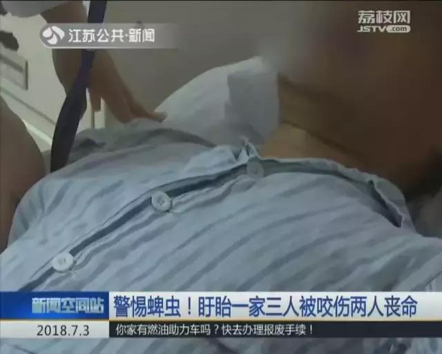 防虫保鲜,防虫保命小妙招