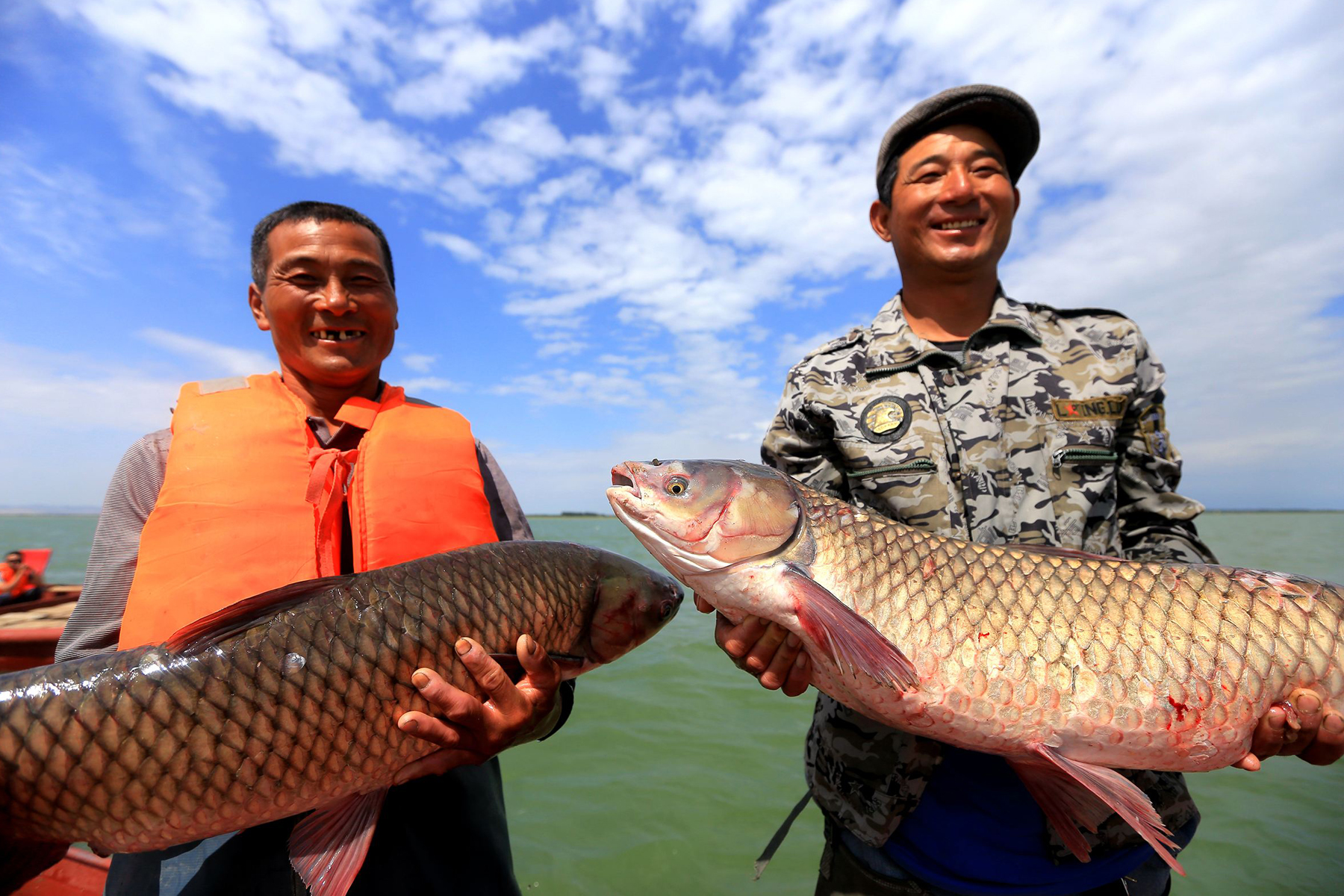 什么香精气味诱鱼最好,什么化学剂诱鱼最强
