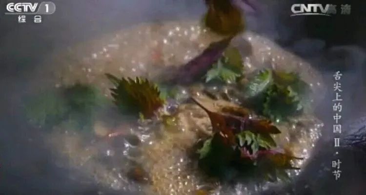 送你一片薄荷叶小说,送你一片银杏叶朗诵