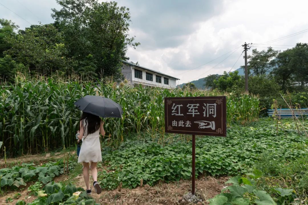 綦江城区游,重庆綦江区旅游