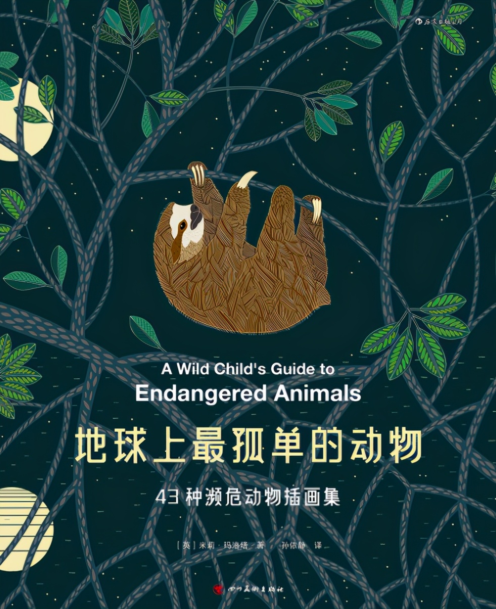 书籍是安顿心灵的良药,治愈心灵创伤的书