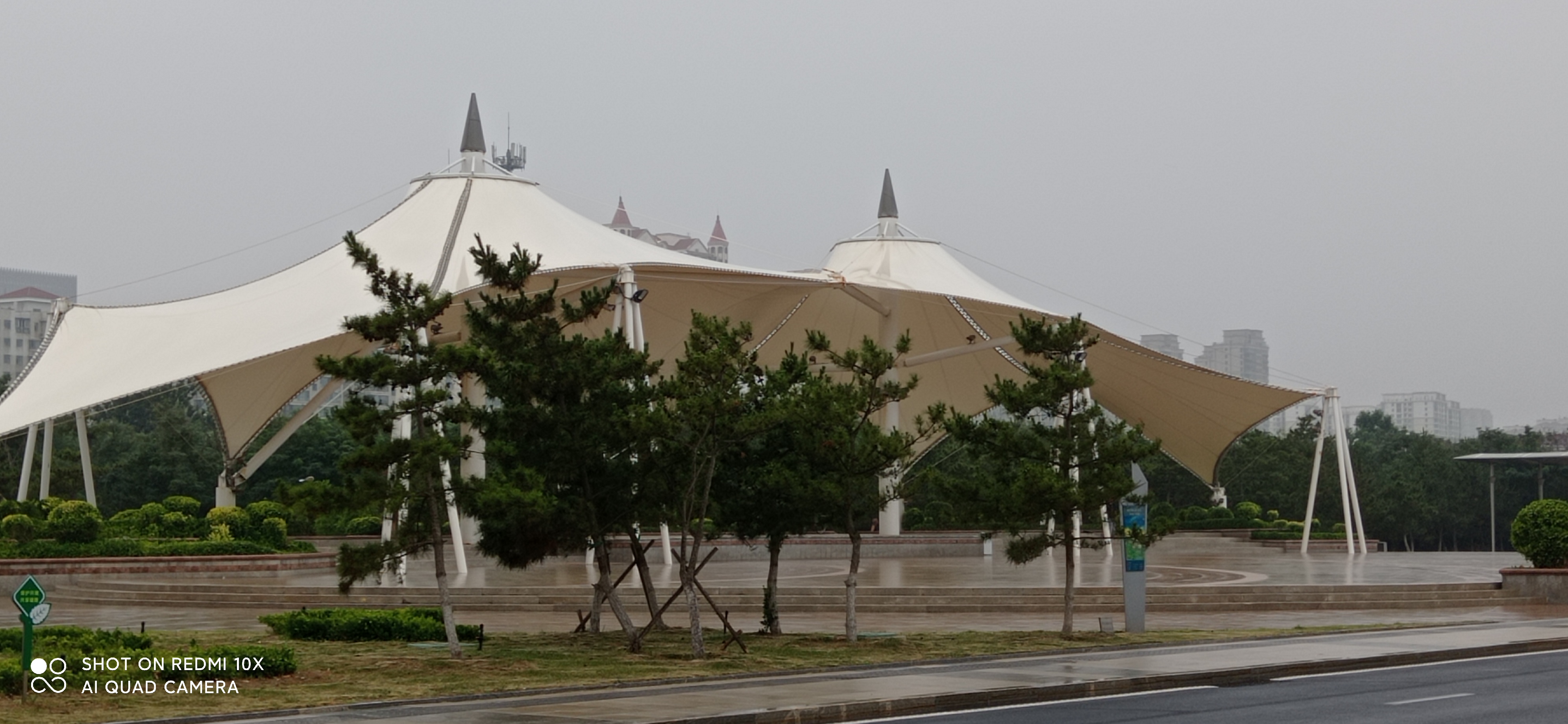 战友美文30首,王琪战友评价