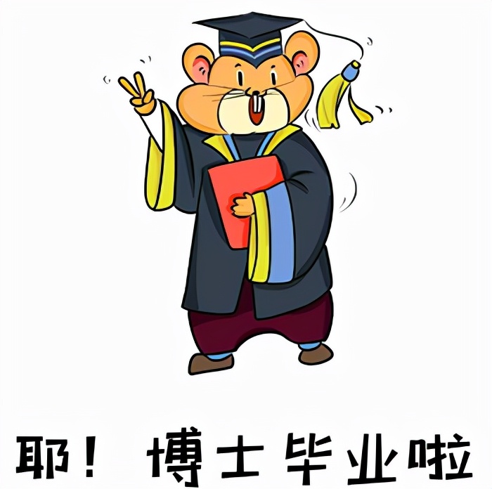 奥迪官方认证二手a4l长沙,二手车奥迪a4l验车